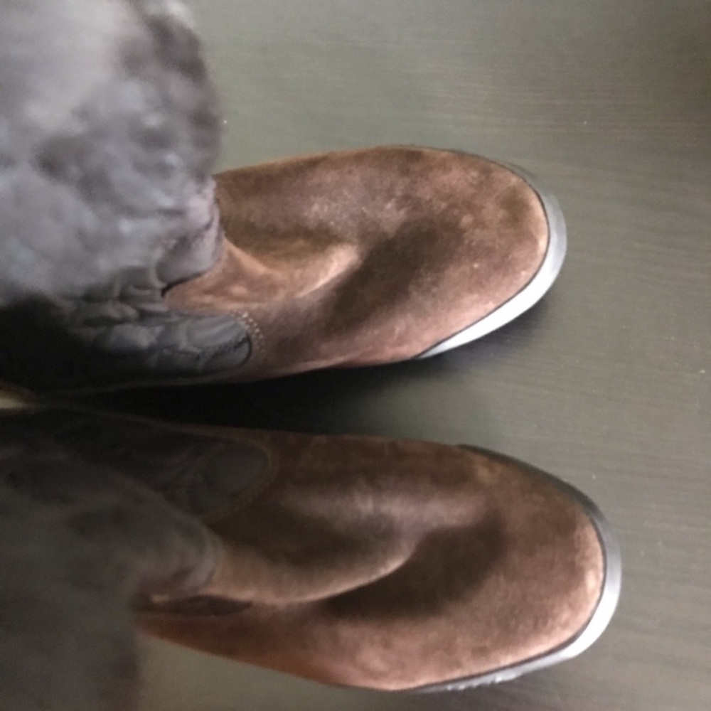 Nwot Brown Coach Talen Boots View 6